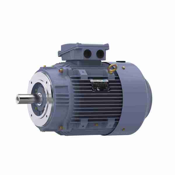 Marathon 15.0 Kw General Purpose Low Voltage Iec Motor, 3 Phase, 3600 Rpm, R636 R636